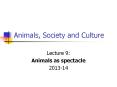 Animals, Society and Culture PowerPoint PPT Presentation