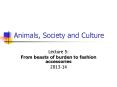 Animals, Society and Culture PowerPoint PPT Presentation