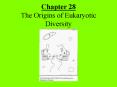 Chapter 28 The Origins of Eukaryotic Diversity PowerPoint PPT Presentation