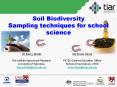Soil Biodiversity PowerPoint PPT Presentation