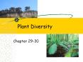 Plant Diversity PowerPoint PPT Presentation