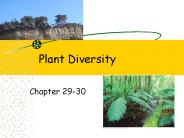 Plant Diversity