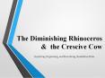 The Diminishing Rhinoceros PowerPoint PPT Presentation