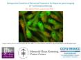 Comparative Analysis of Retroviral Promoters for Reporter gene Imaging of T cell Immunotherapy PowerPoint PPT Presentation