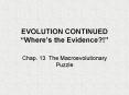 EVOLUTION CONTINUED  PowerPoint PPT Presentation