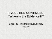 EVOLUTION CONTINUED 