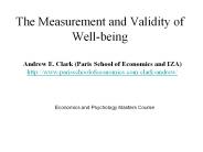 The Measurement and Validity of Well-being
