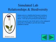 Simulated Lab Relationships