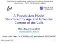 A Population Model Structured by Age and Molecular Content of the Cells PowerPoint PPT Presentation