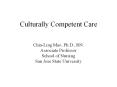 Culturally Competent Care PowerPoint PPT Presentation