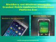 BlackBerry mobile apps and Windows mobile apps the Grandest Mobile App Platforms