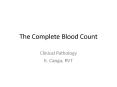 The Complete Blood Count PowerPoint PPT Presentation