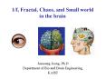 1/f, Fractal, Chaos, and Small world in the brain PowerPoint PPT Presentation