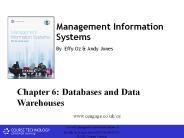 Management Information Systems By Effy Oz