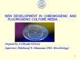 NEW DEVELOPMENT IN CHROMOGENIC AND FLUOROGENIC CULTURE MEDIA PowerPoint PPT Presentation