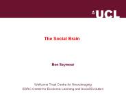 The Social Brain
