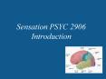 Sensation PSYC 2906 Introduction PowerPoint PPT Presentation