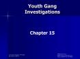 Youth Gang Investigations PowerPoint PPT Presentation