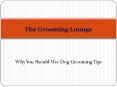 Why You Should Use Dog Grooming Tips PowerPoint PPT Presentation