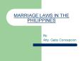 MARRIAGE LAWS IN THE PHILIPPINES PowerPoint PPT Presentation