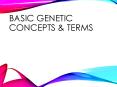 Basic Genetic Concepts PowerPoint PPT Presentation