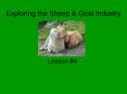 Animal Science and the Industry PowerPoint PPT Presentation