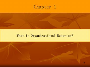 What is Organizational Behavior?