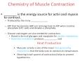 Chemistry of Muscle Contraction PowerPoint PPT Presentation