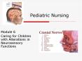 Pediatric Nursing PowerPoint PPT Presentation