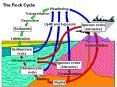 The Rock Cycle PowerPoint PPT Presentation