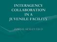 INTERAGENCY COLLABORATION IN A JUVENILE FACILITY PowerPoint PPT Presentation
