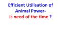 Efficient Utilisation of Animal Power- is need of the time ? PowerPoint PPT Presentation