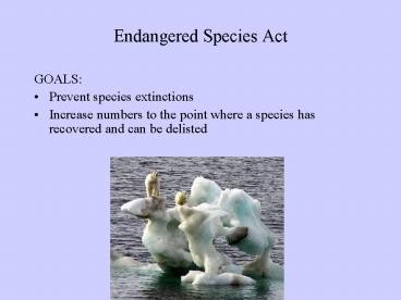 Endangered Species Act