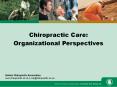 Chiropractic Care: PowerPoint PPT Presentation