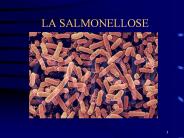 LA SALMONELLOSE