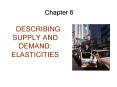 DESCRIBING SUPPLY AND DEMAND: ELASTICITIES PowerPoint PPT Presentation