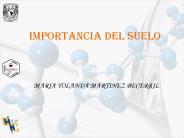 IMPORTANCIA DEL SUELO