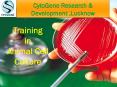 Training in animal cell culture in U.P PowerPoint PPT Presentation