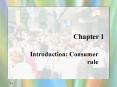 Introduction: Consumer rule PowerPoint PPT Presentation