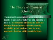 The Theory of Consumer Behavior