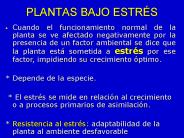 PLANTAS BAJO ESTR