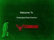 Command Pest Control Pompano Beach Florida