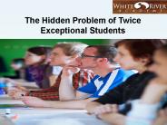 The Hidden Problem of Twice Exceptional Students