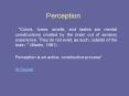 Perception PowerPoint PPT Presentation