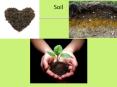 Soil PowerPoint PPT Presentation