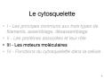 Le cytosquelette PowerPoint PPT Presentation