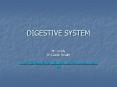 DIGESTIVE SYSTEM PowerPoint PPT Presentation