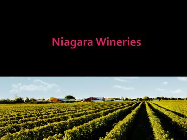 Niagara Wineries