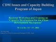 CDM Issues and Capacity Building Program of Japan PowerPoint PPT Presentation