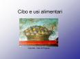 Cibo e usi alimentari PowerPoint PPT Presentation